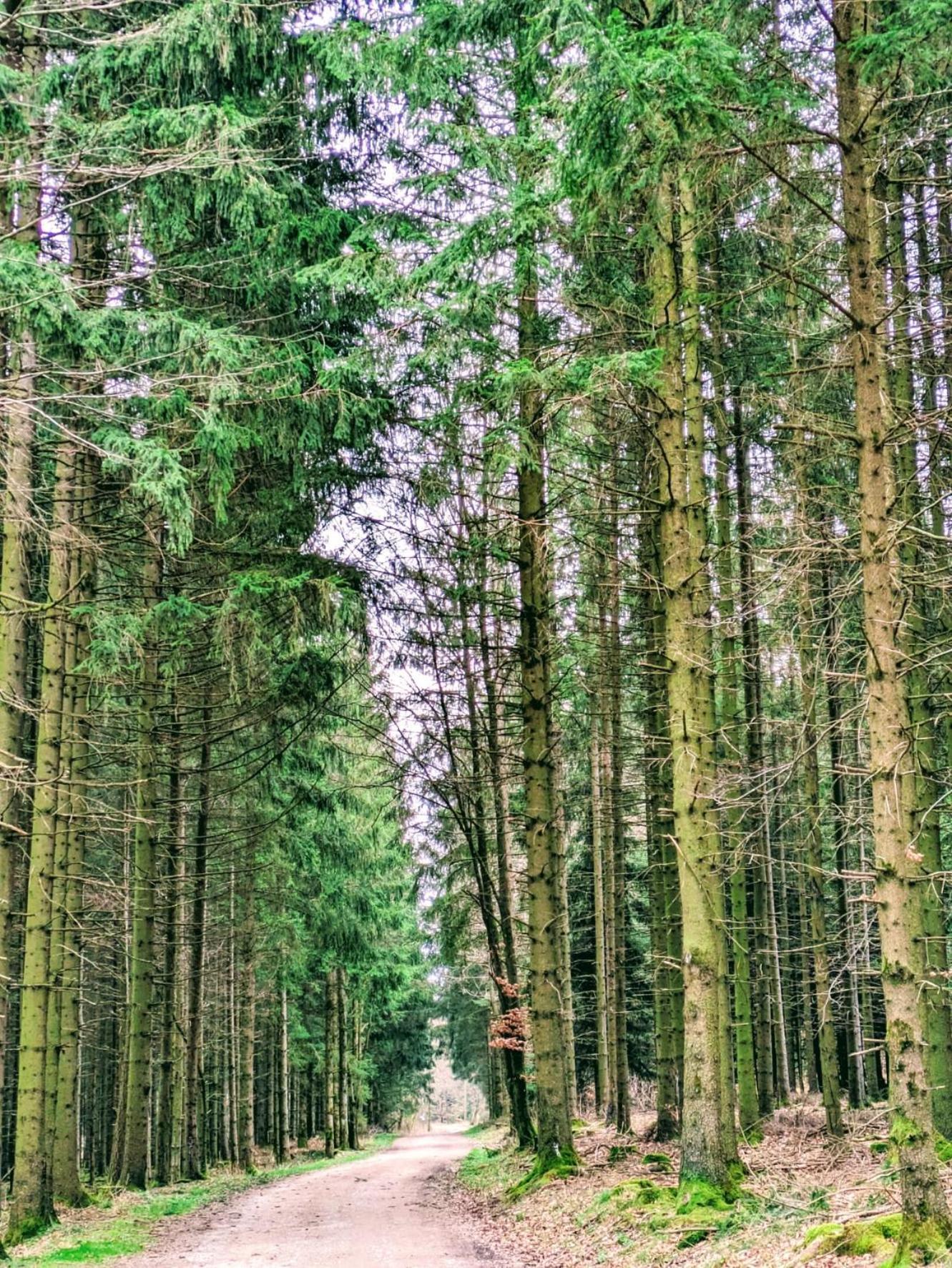 Haus Paradiesecke Waldbrunn  ภายนอก รูปภาพ